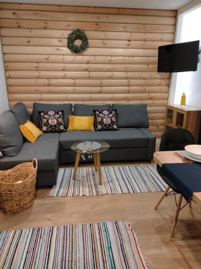 Anielki Apartament Zakopane Extérieur photo